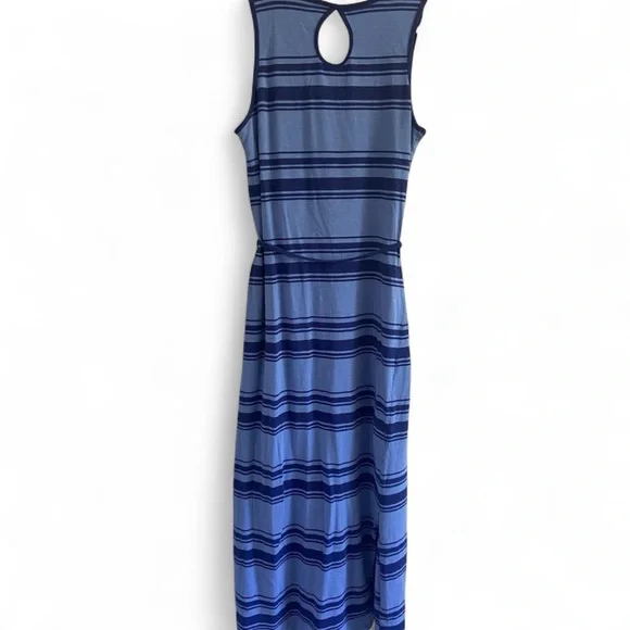 HORNY TOAD Blue Stripe Dress - Picture 2 of 7